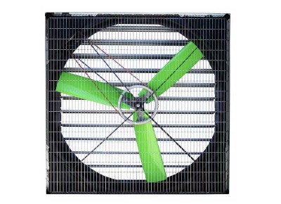 Green Fans